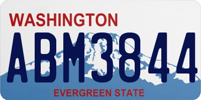 WA license plate ABM3844