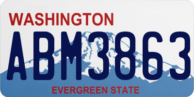 WA license plate ABM3863