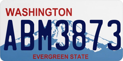 WA license plate ABM3873