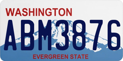 WA license plate ABM3876
