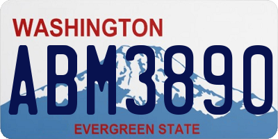 WA license plate ABM3890