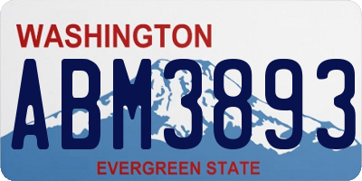 WA license plate ABM3893