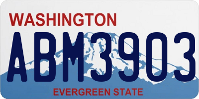 WA license plate ABM3903