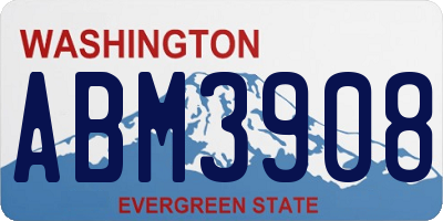 WA license plate ABM3908