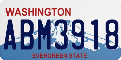WA license plate ABM3918