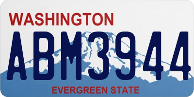 WA license plate ABM3944