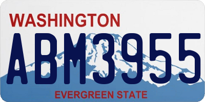 WA license plate ABM3955