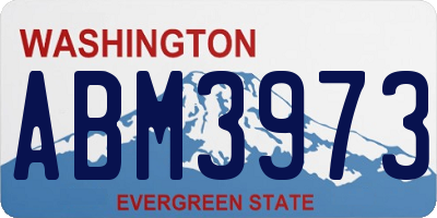 WA license plate ABM3973