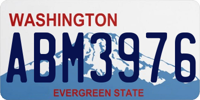 WA license plate ABM3976
