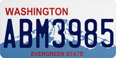 WA license plate ABM3985