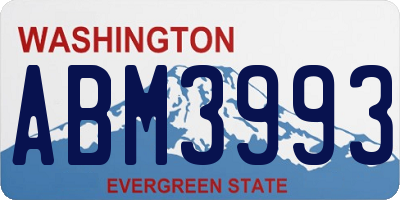 WA license plate ABM3993