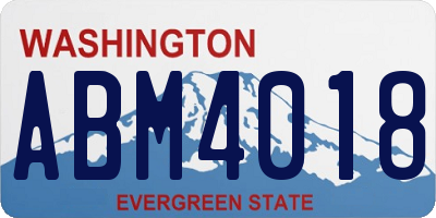 WA license plate ABM4018
