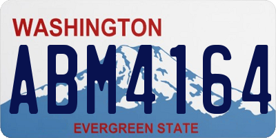 WA license plate ABM4164