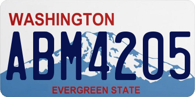 WA license plate ABM4205