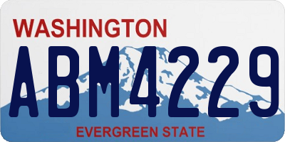 WA license plate ABM4229