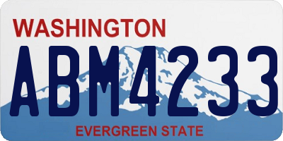 WA license plate ABM4233