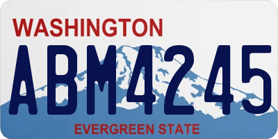 WA license plate ABM4245