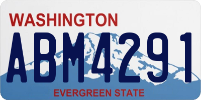 WA license plate ABM4291