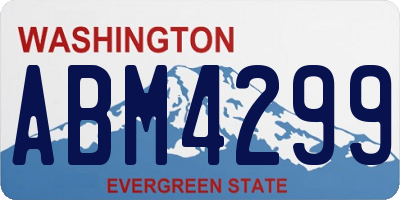 WA license plate ABM4299
