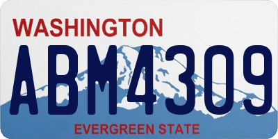 WA license plate ABM4309