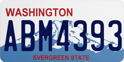 WA license plate ABM4393