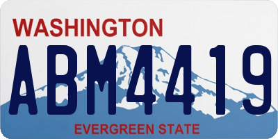 WA license plate ABM4419