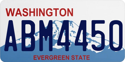 WA license plate ABM4450
