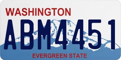 WA license plate ABM4451