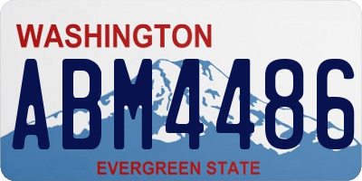 WA license plate ABM4486