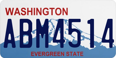 WA license plate ABM4514