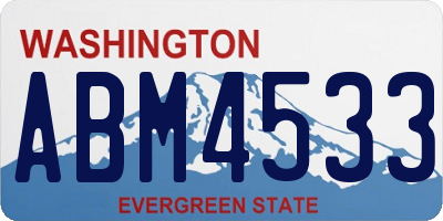 WA license plate ABM4533