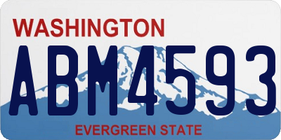WA license plate ABM4593