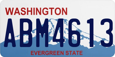 WA license plate ABM4613