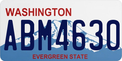 WA license plate ABM4630