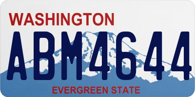 WA license plate ABM4644