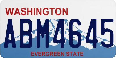 WA license plate ABM4645