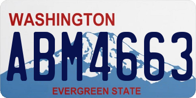 WA license plate ABM4663