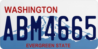 WA license plate ABM4665