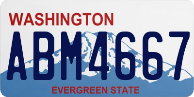 WA license plate ABM4667
