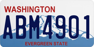 WA license plate ABM4901