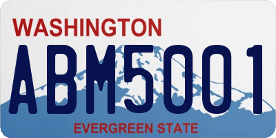 WA license plate ABM5001