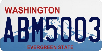 WA license plate ABM5003