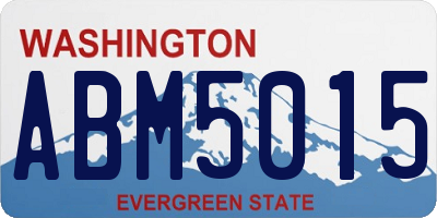WA license plate ABM5015