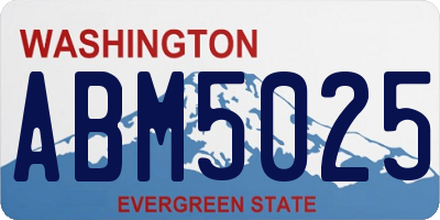 WA license plate ABM5025