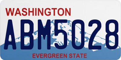 WA license plate ABM5028