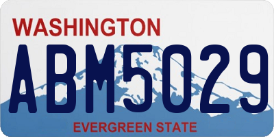 WA license plate ABM5029