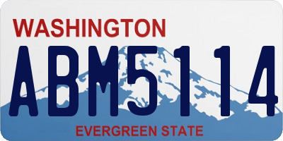 WA license plate ABM5114