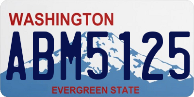 WA license plate ABM5125