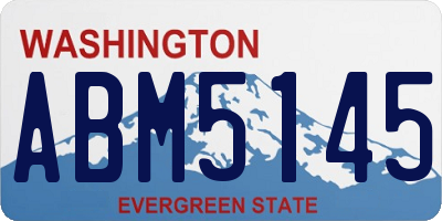 WA license plate ABM5145