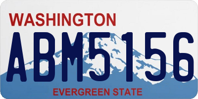 WA license plate ABM5156